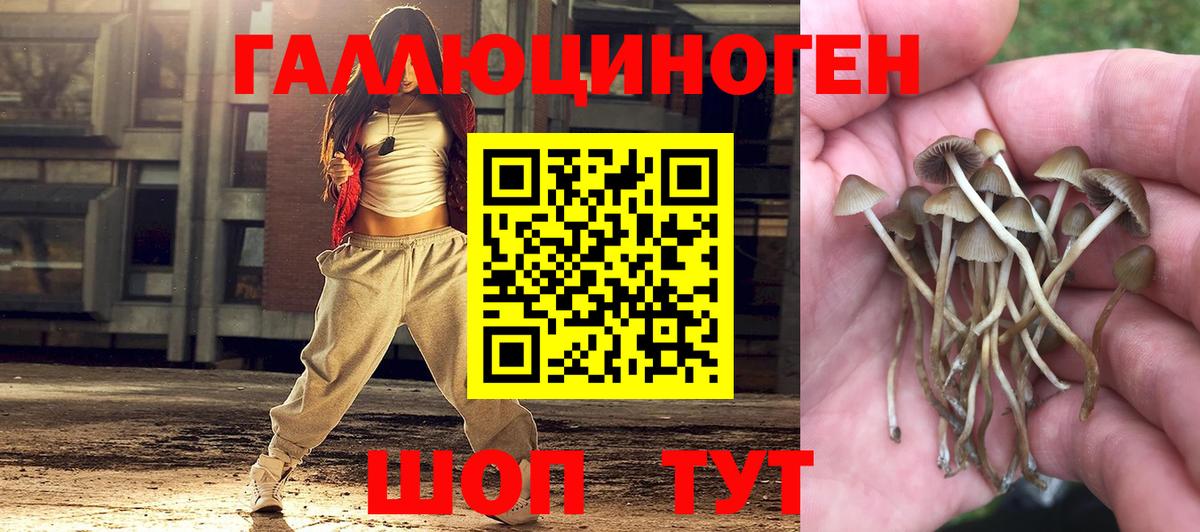 Скопин  Галлюциногенные грибы GOLDEN TEACHER  Вход с VPN 