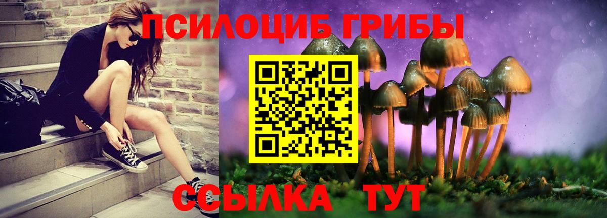 Псилоцибиновые грибы мухоморы Скопин